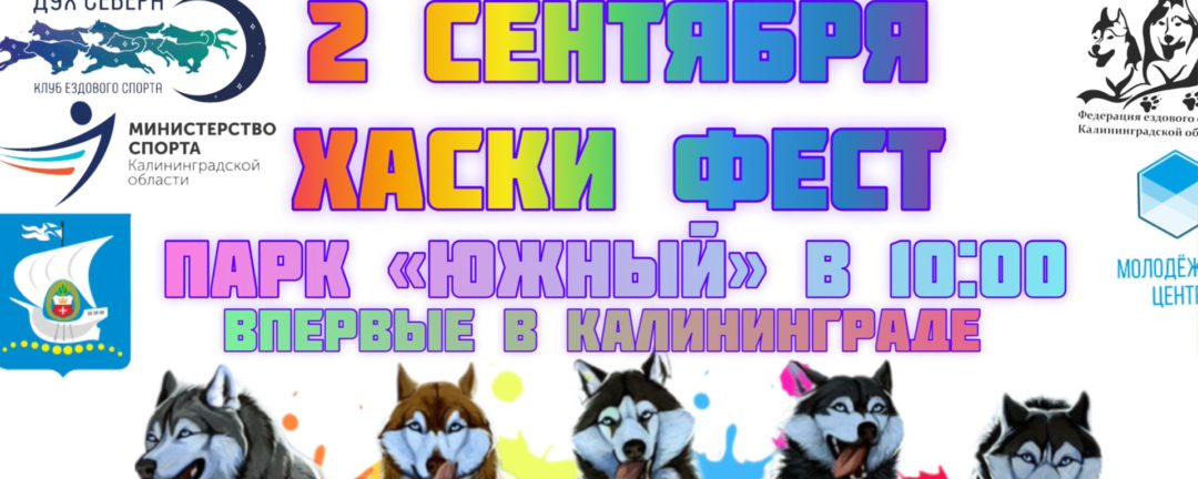 Фестиваль «Хаски Фест». 2Сентября Парк Южный
