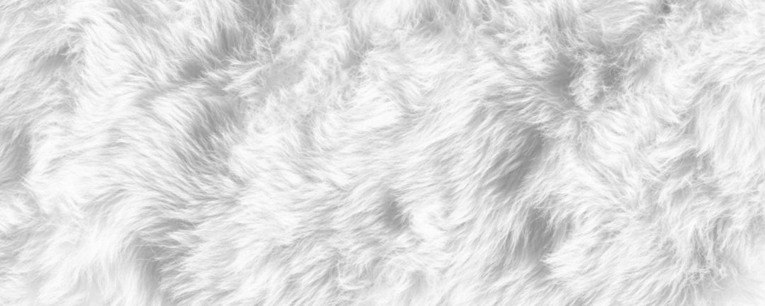 WHITE GANJi | Ежегодное отчетное мероприятие